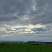 おはよう 火曜日 2022/07/12 06:59:43