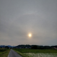 おはよう 水曜日 2022/05/11 06:38:35