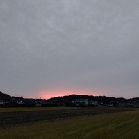 おはよう 月曜日 2022/11/28 07:40:01