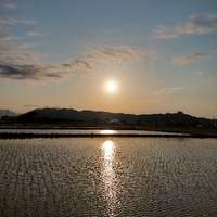 おはよう 水曜日 2022/04/20 06:37:51