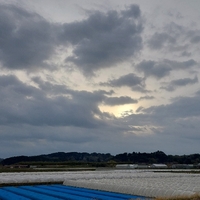 おはよう 土曜日 2022/03/26 08:34:05