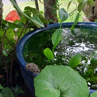 おはよう 火曜日 2022/06/21 06:32:26