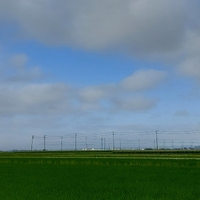 おはよう 土曜日 2022/06/25 08:44:29