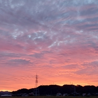 おはよう 日曜日 2022/10/09 08:42:01