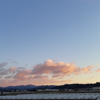 おはよう 金曜日 2022/01/14 08:14:48