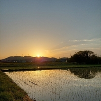 おはよう 火曜日 2022/04/12 06:35:17