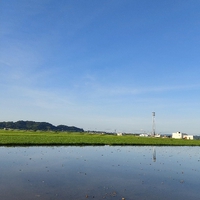 おはよう 月曜日 2022/07/11 07:06:03