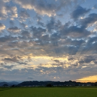 おはよう 月曜日 2022/08/29 07:16:41