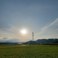 おはよう 水曜日 2022/06/01 06:38:04