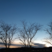 今日の夕景