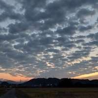 おはよう 月曜日 2022/10/24 06:36:32