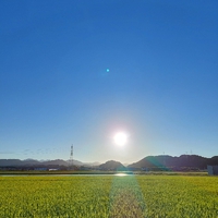 おはよう 土曜日 2022/07/23 07:39:29