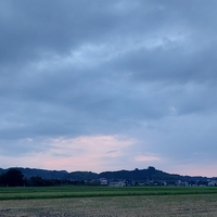 おはよう 木曜日 2022/08/25 07:10:48