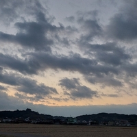 おはよう 水曜日 2022/03/09 07:02:00