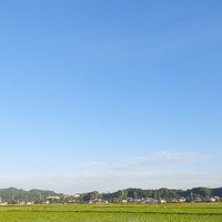 おはよう 火曜日 2022/06/28 06:53:58