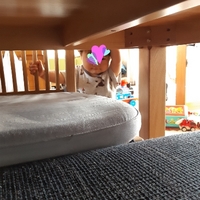 ばぁば保育園反省･･･