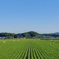 おはよう 月曜日 2022/05/30 06:39:06