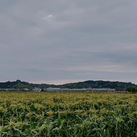 おはよう 月曜日 2022/05/09 07:04:53
