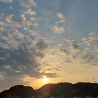 おはよう 土曜日 2022/04/09 08:33:24