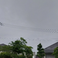 おはよう 土曜日 2022/06/18 08:02:54