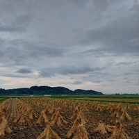 おはよう 火曜日 2022/08/23 07:07:26