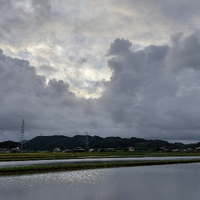 おはよう 木曜日 2022/08/18 07:53:08