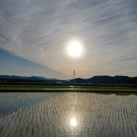 おはよう 日曜日 2022/05/29 07:56:41