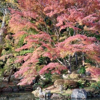 法多山 2022/11/28 18:44:39