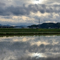 おはよう 月曜日 2022/05/02 07:58:39