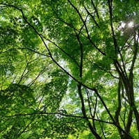 おはよう 日曜日 2022/04/24 08:44:14