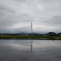 おはよう 土曜日 2022/08/06 08:07:38