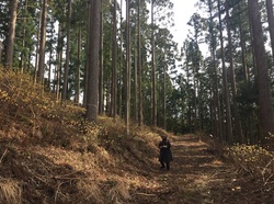 春野平尾の里山資本主義（山路）