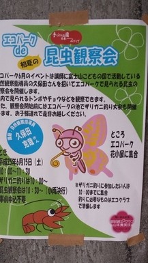 エコパーク昆虫観察会♪