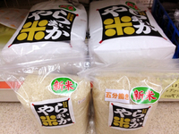 新米