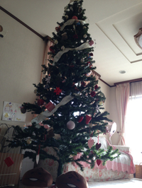 クリスマスに・・・ 2012/11/28 11:29:17