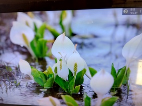 名曲アルバム