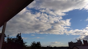 今朝の空