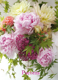 芍薬2017　ヒースフラワー