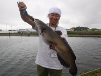 アマゾンの怪魚コロソマ釣り解禁しました！！！ 2019/06/30 13:26:43
