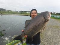 夏らしい天気になりました！ 2019/08/05 15:10:12