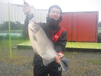雨の方が釣れる？？？ 2020/07/12 07:43:07