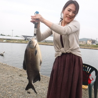 好調♪ 2017/06/20 16:56:33