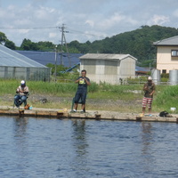 コロソマ爆釣♪ 2017/07/11 16:52:25