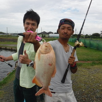 アルビノ＆バス進捗状況！！ 2017/09/12 16:58:09