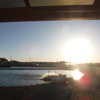 ぽかぽか陽気♪ 2017/02/04 17:44:44