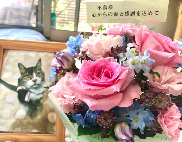 愛猫　不動の命日