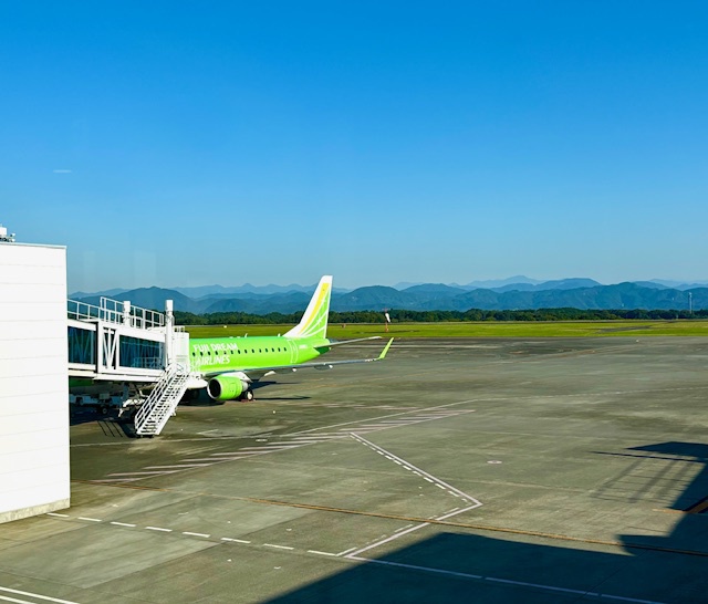 飛行機が好き