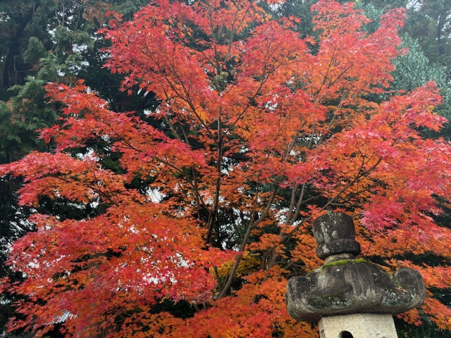 　　冬至　魔法学校開催