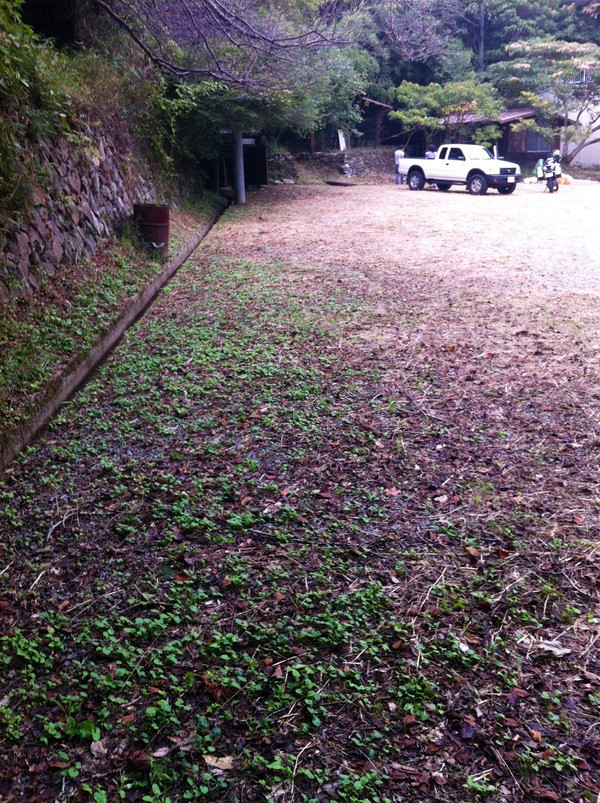 森　道　“馬”　市場