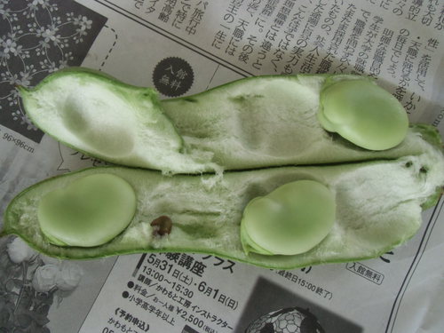何ののさやむき？